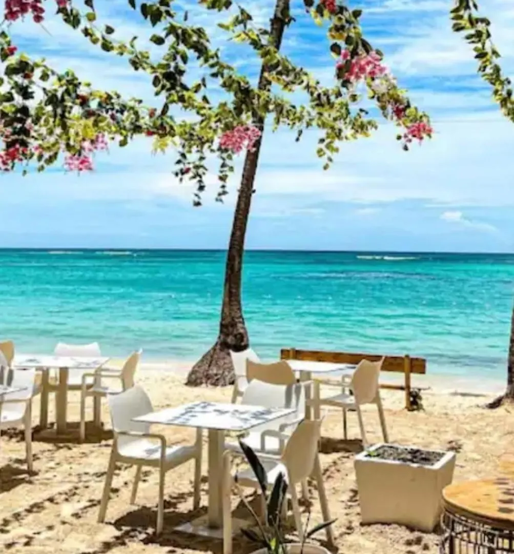Madonna1 Pool Beach Los Corales Arenas De Bavaro Punta Cana